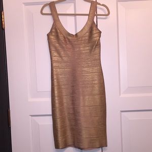 Herve Ledger Dress